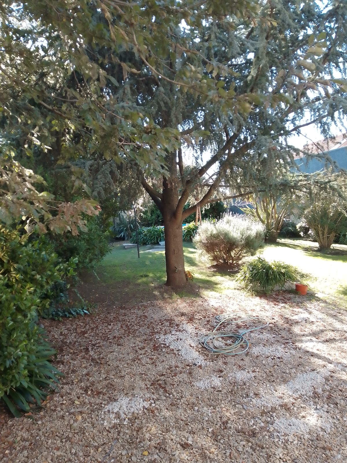 CASA CÉNTRICA VENTA 🏡